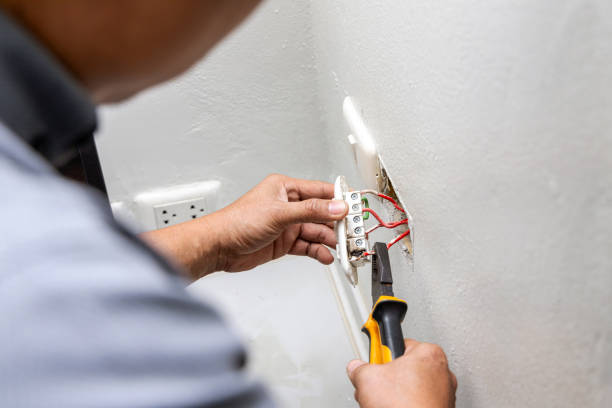Best Electrical System Inspection  in Skyline Ganipa, NM